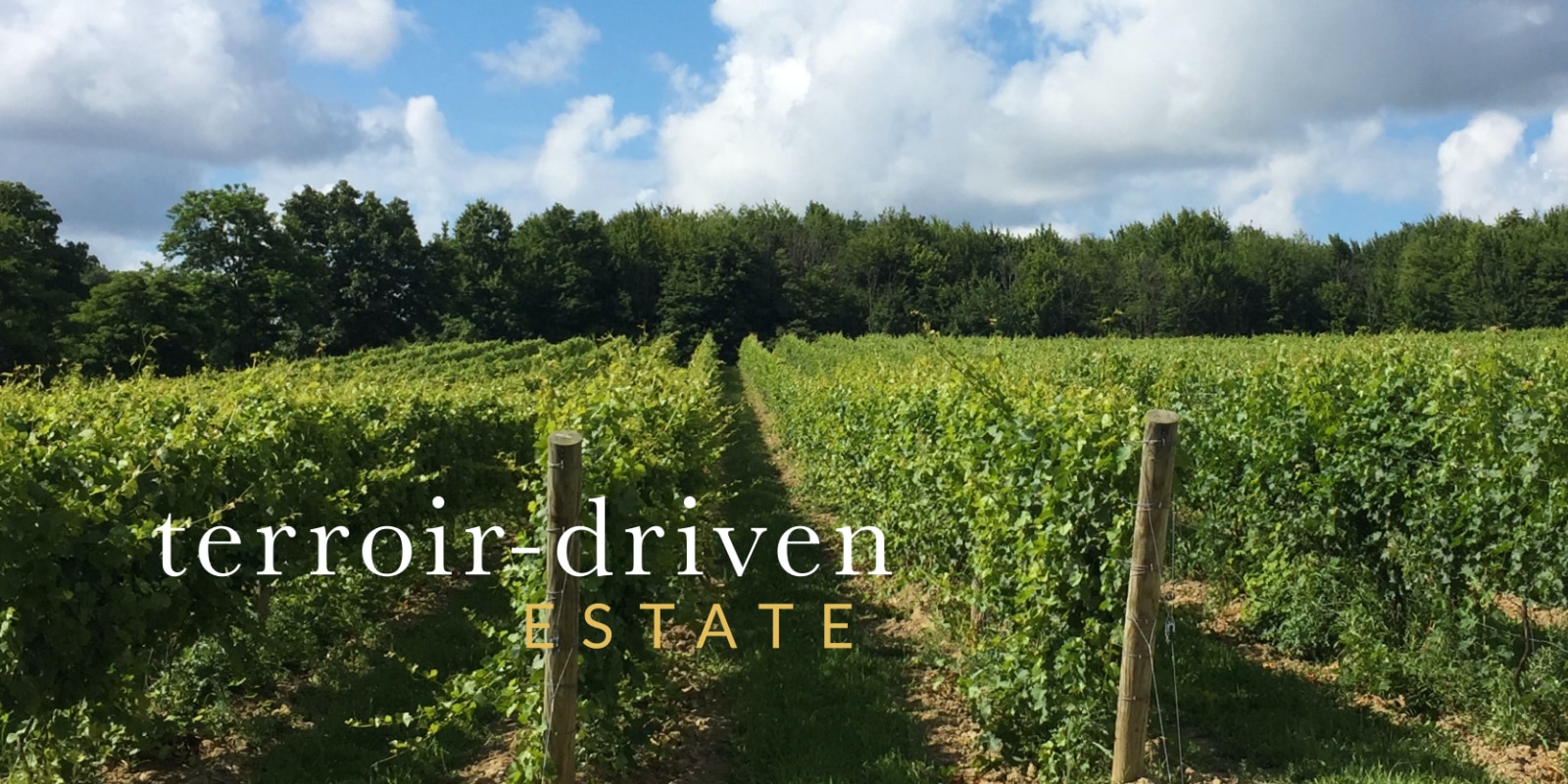 Terroir Driven Slider Image