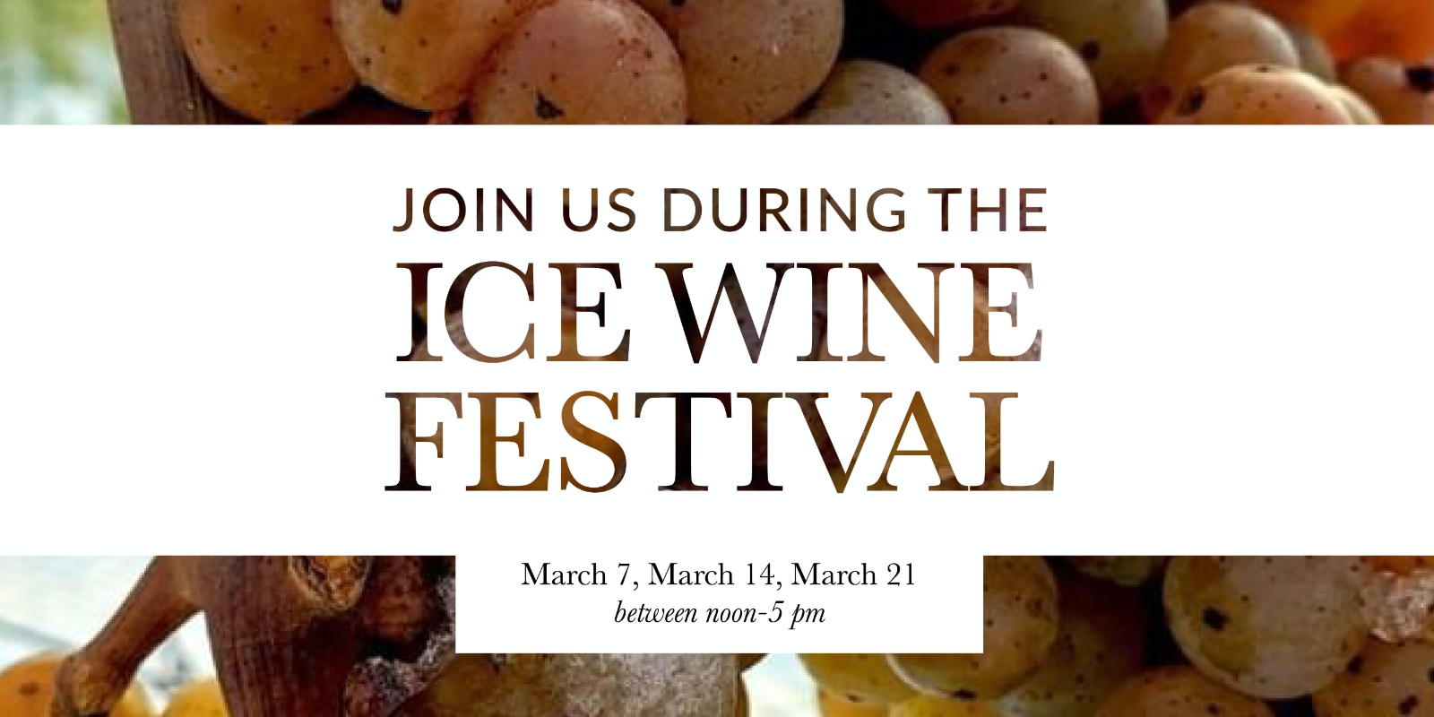 Ice Wine Festival - March 2020 Image