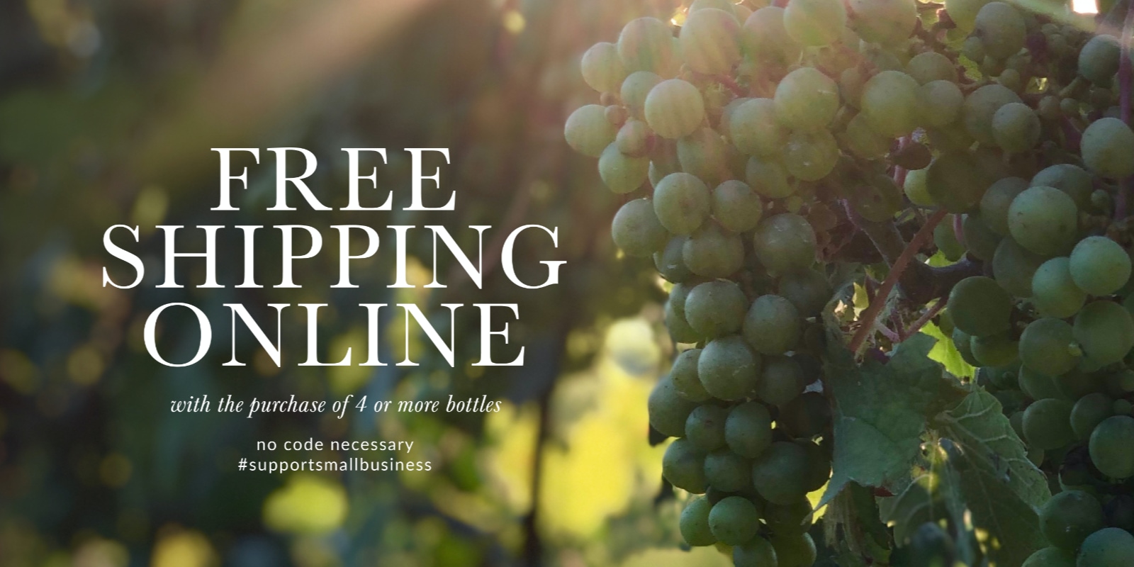 Free Shipping Promo Banner Image