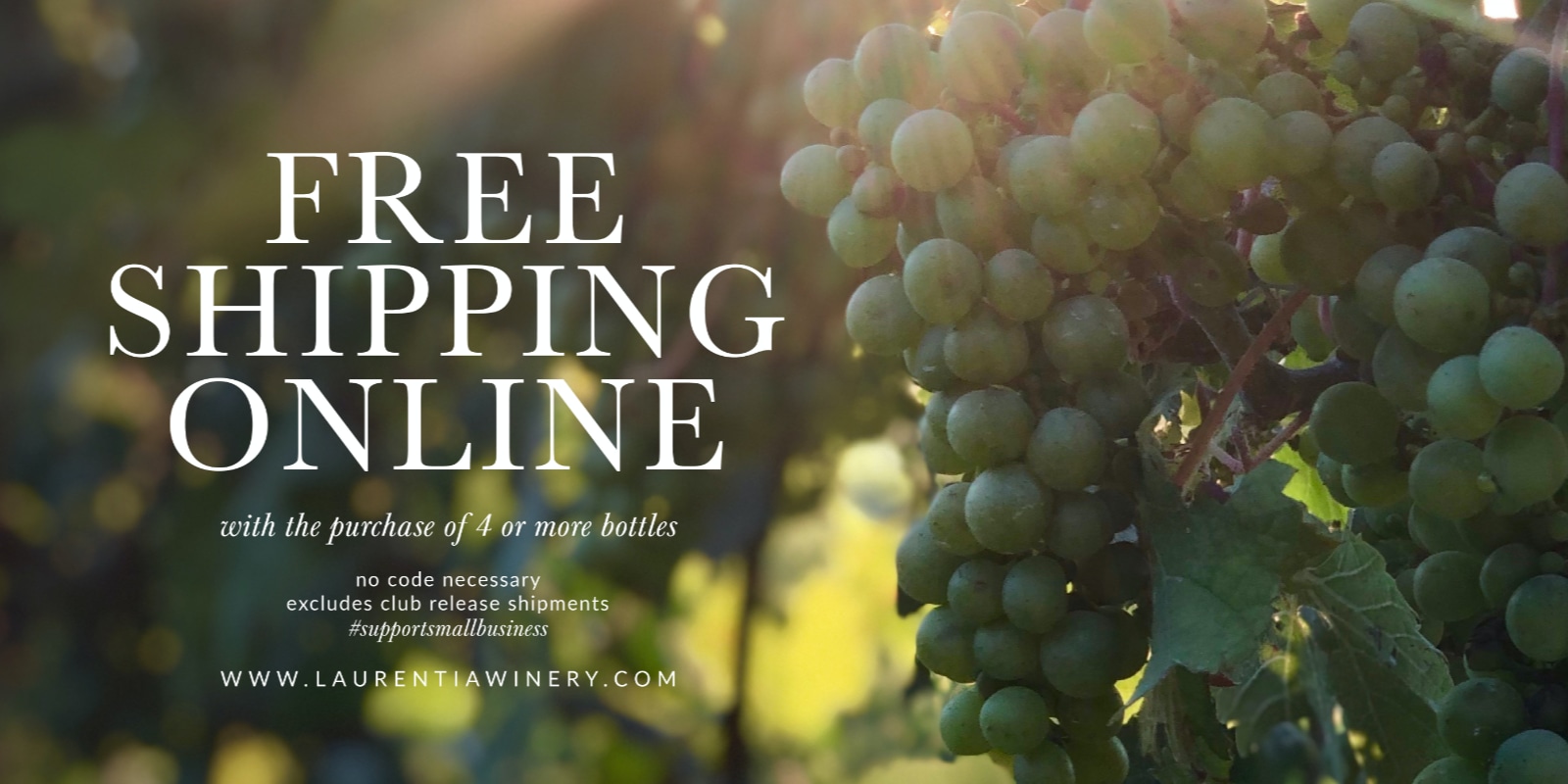 Free Shipping Online Slideshow Image