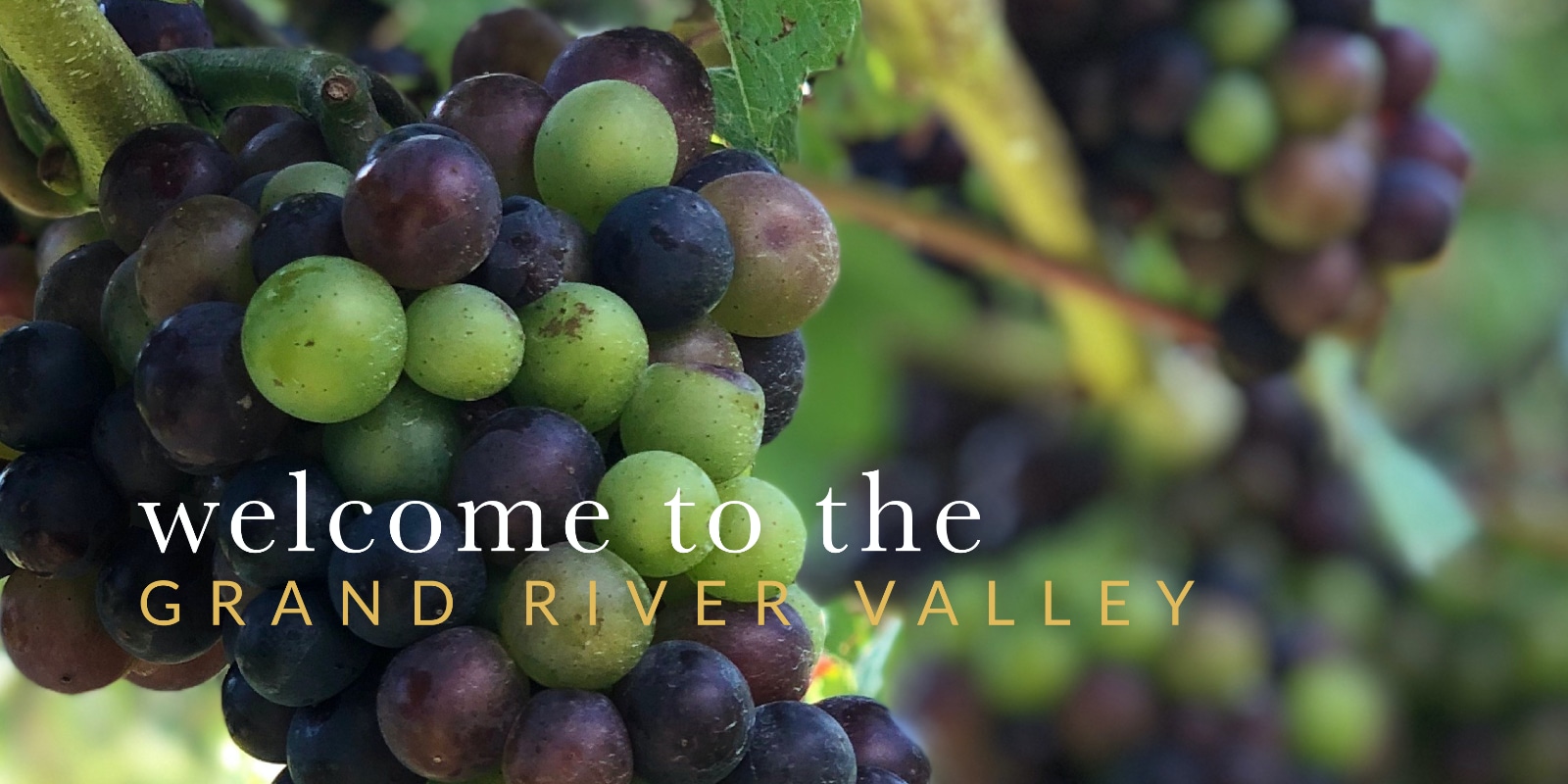 Slideshow Image - Welcome to the Grand River Valley - Summer 2020