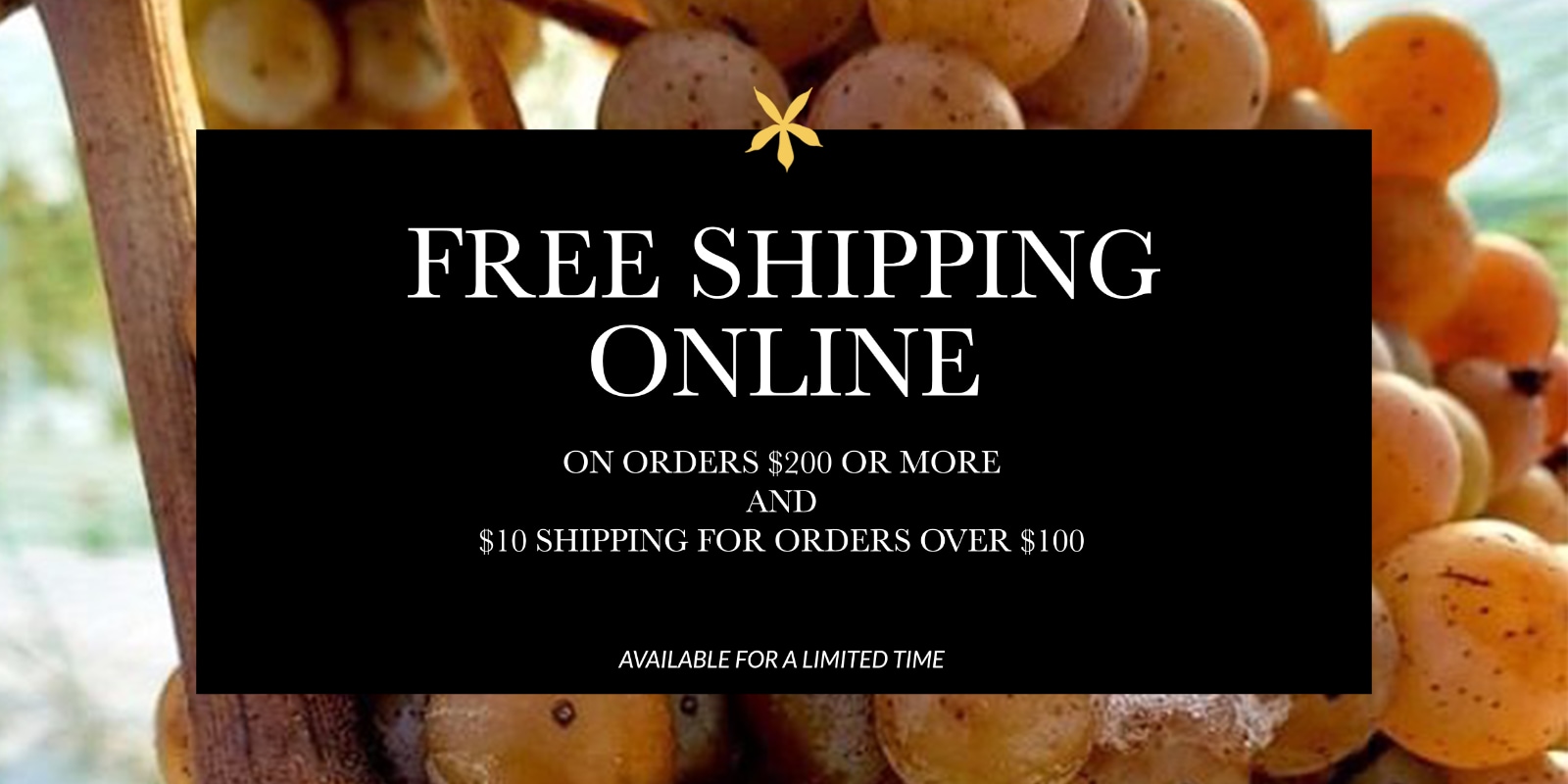Spring 2021 Free Shipping Promo Image