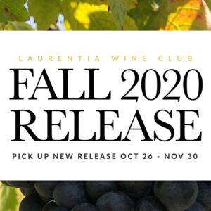 Fall Release 2020 Event Photo