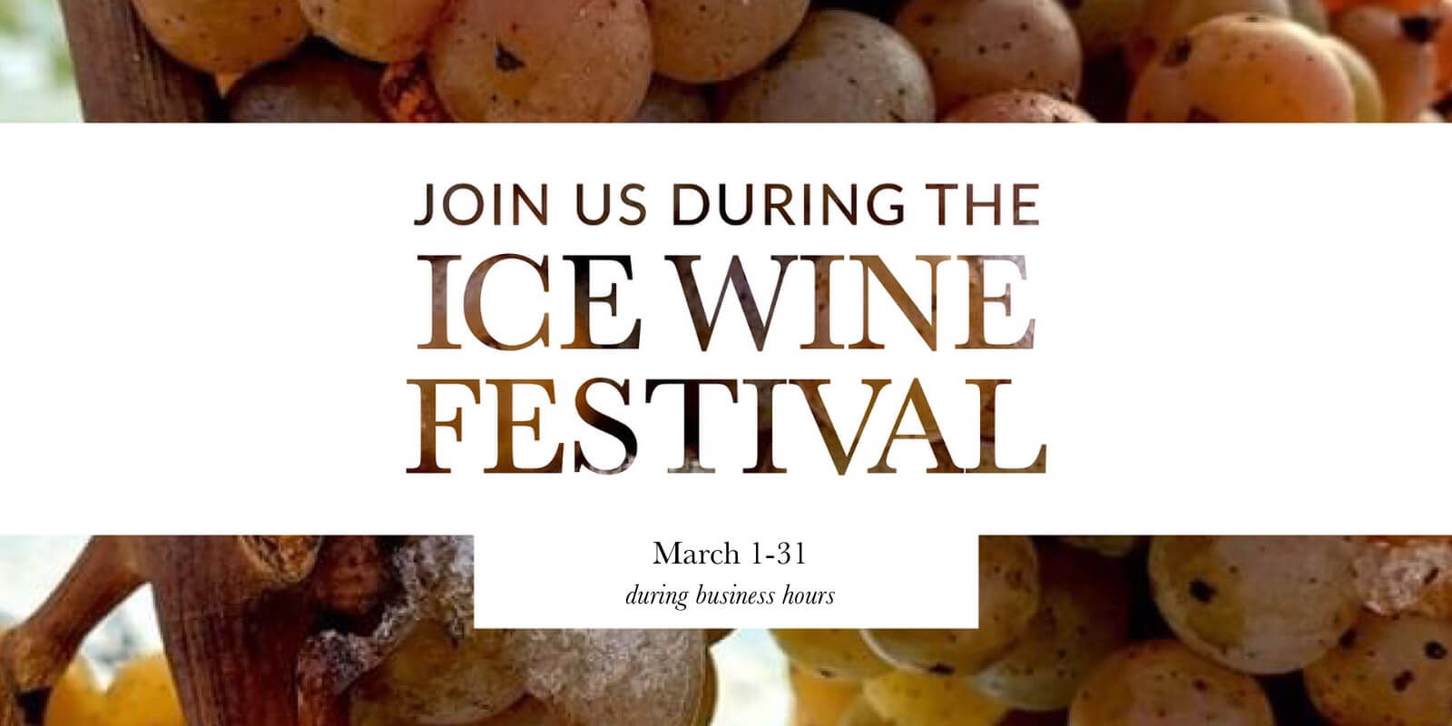 Ice Wine Festival 2023 Banner