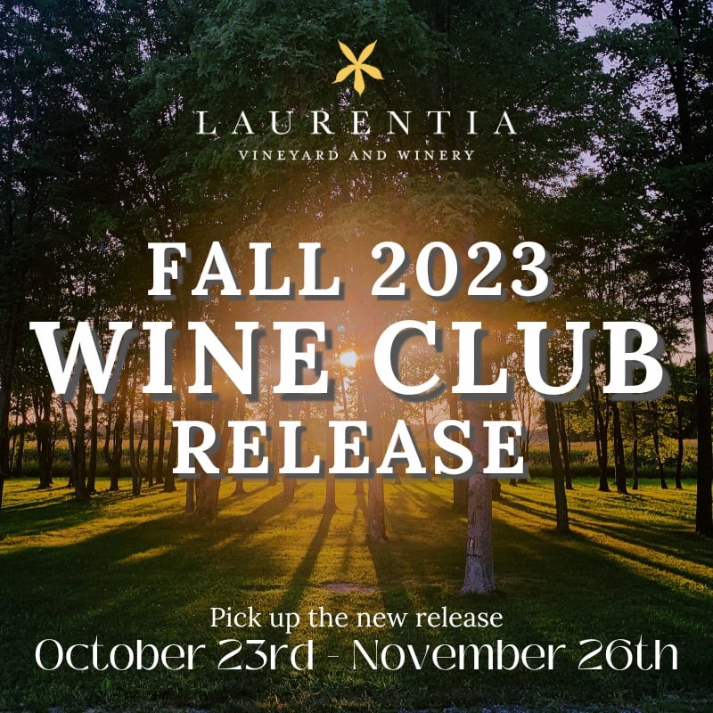 Fall 2023 Wine Club Release Graphic with photo of vineyard